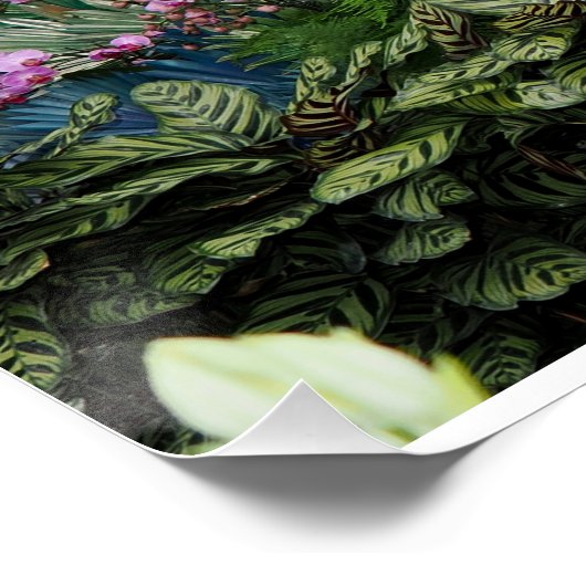 Orchid Peacock ポスター (コーナー)