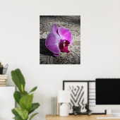 Orchid Phalaeグラフィックプリント-20x24 – またはそれ以下 ポスター (ホームオフィス)