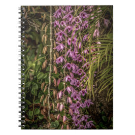 Orchid Spiral Photo Notebook ノートブック