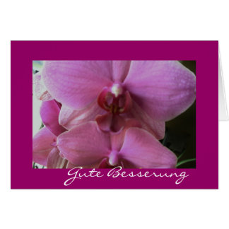 Orchidee-gute besserung