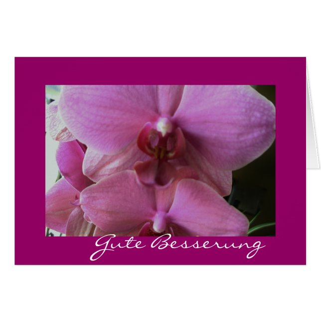 Orchidee-gute besserung (正面横)