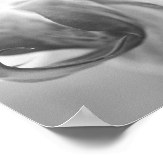 Orchidee in schwarz/weiß ポスター (角)