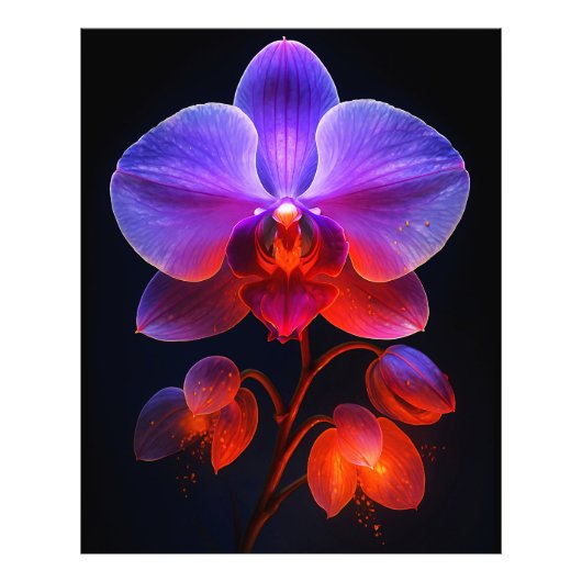 Orchideen Blüte im Strahlendem Licht フォトプリント (正面)