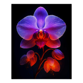 Orchideen Blüte im Strahlendem Licht ポスター