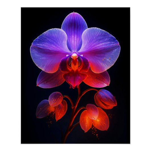 Orchideen Blüte im Strahlendem Licht ポスター (正面)
