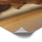 Orchideen Wellness Oase ポスター (角)