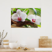 Orchideen Wellness Oase ポスター (キッチン)