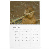 Orchidelique 2017の動物のカレンダー カレンダー (2月 2026)