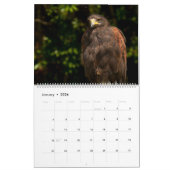 Orchidelique 2017の動物のカレンダー カレンダー (1月 2026)