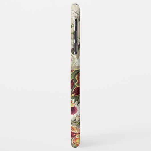 Orchides, Orchideae Denusblumen by Ernst Haeckel Case-Mate iPhoneケース (裏面/左)