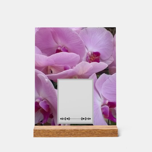 Orchids アクリルサイン (正面)