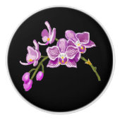 Orchids セラミックノブ (正面)
