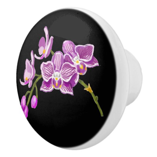 Orchids セラミックノブ (右)