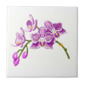 Orchids  タイル (正面)