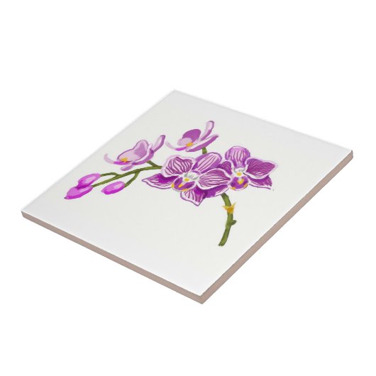 Orchids  タイル (側面)