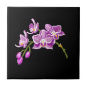 Orchids タイル (正面)
