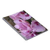 Orchids ノートブック (右側)