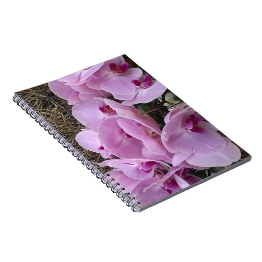 Orchids ノートブック (右側)