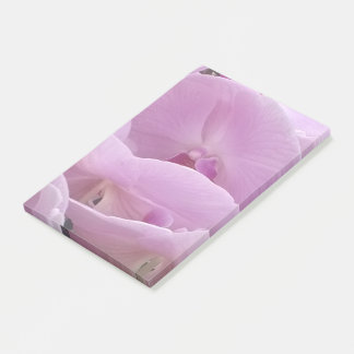 Orchids ポストイット