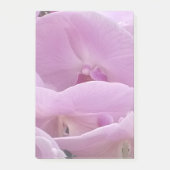 Orchids ポストイット (正面)