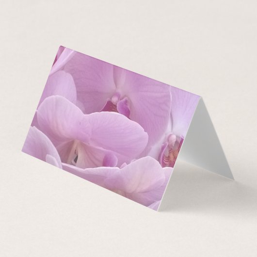 Orchids 名刺 (正面)