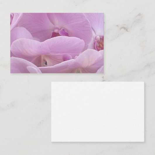 Orchids 名刺 (正面/裏面)