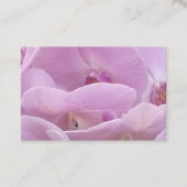 Orchids 名刺 (正面)