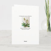 Orchids (5" x 7") white envelopes include カード (裏面)