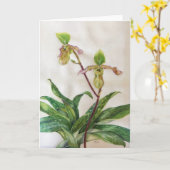 Orchids (5" x 7") white envelopes include カード (黄色い花)