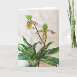 Orchids (5" x 7") white envelopes include カード