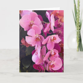 Orchids Blank Note Card サンキューカード