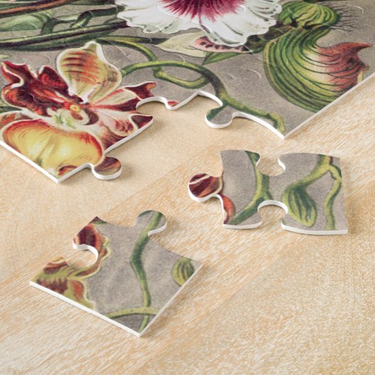 Orchids, Orchideae Denusblumen by Ernst Haeckel ジグソーパズル (側面)