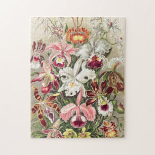 Orchids, Orchideae Denusblumen by Ernst Haeckel ジグソーパズル
