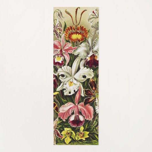 Orchids, Orchideae Denusblumen Ernst Haeckel  ヨガマット (正面)