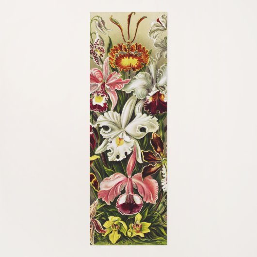 Orchids, Orchideae Denusblumen Ernst Haeckel  ヨガマット (裏面)