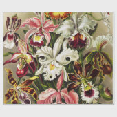 Orchids, Orchideae Denusblumen Ernst Haeckel  ラッピングペーパー (フラット)
