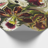 Orchids, Orchideae Denusblumen Ernst Haeckel  ラッピングペーパー (角)