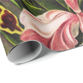 Orchids, Orchideae Denusblumen Ernst Haeckel  ラッピングペーパー (ロールコーナー)