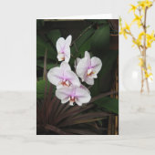 Orchisグリーティングカード カード (黄色い花)