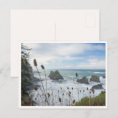 Oregon Coast Arch Rock State Park Brookings Beach ポストカード (正面/裏面)