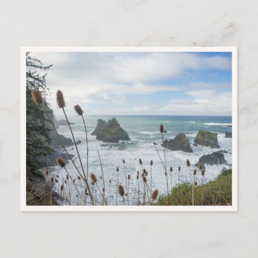 Oregon Coast Arch Rock State Park Brookings Beach ポストカード (正面)