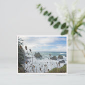 Oregon Coast Arch Rock State Park Brookings Beach ポストカード (スタンド正面)