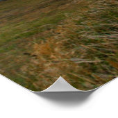 Oregon's oldest lighthouse at Cape Blanco State ポスター (角)