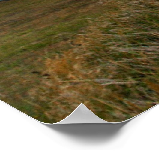 Oregon's oldest lighthouse at Cape Blanco State ポスター (角)