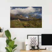 Organ Mountains After Storm ポスター (ホームオフィス)