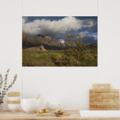 Organ Mountains After Storm ポスター (キッチン)