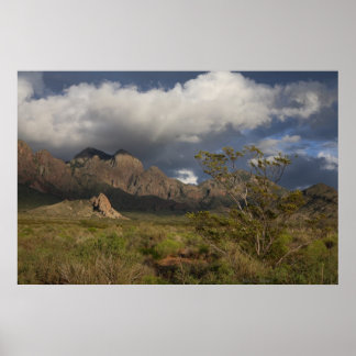 Organ Mountains After Storm ポスター