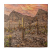 Organ Pipe Cactus On Wood Grain Sunset Photo タイル (正面)