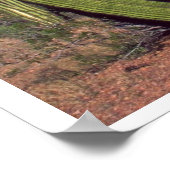 Organ Pipes In Death Valley ポスター (角)