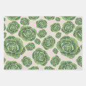 Organic Green Cabbage Design  ラッピングペーパーシート (正面)